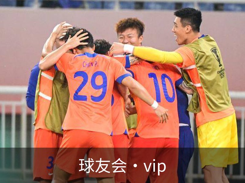 球友会·vip简介
